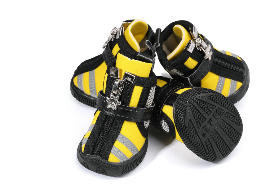 doggy shoes for summer
